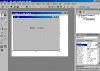 Form1.gif (43544 bytes)